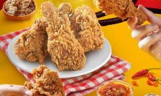 Franchise Fried Chicken Terlaris Auto Pilot Tanpa Ribet